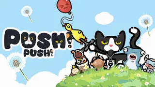 Push Push