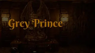 Grey Prince