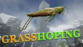 Grasshoping