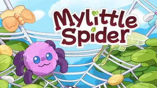 My Little Spider