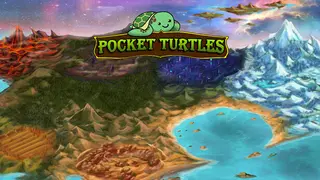 Pocket Turtles
