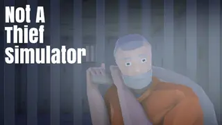 Not A Thief Simulator