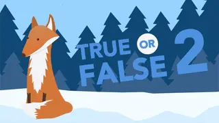 True or False 2