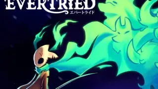 Evertried - Switch