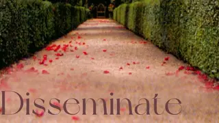 Disseminate