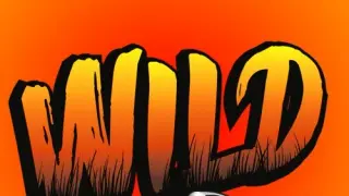 Wild Pinball Bundle - Switch