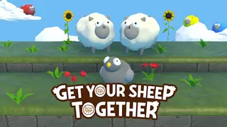 Get Your Sheep Together