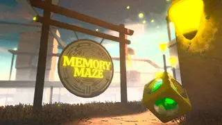 MemoryMaze