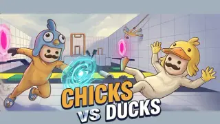Chicks vs Ducks