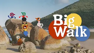 Big Walk