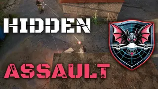 Hidden Assault
