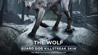 Call of Duty: Ghosts - Wolf Skin [EFIGS] - PS4