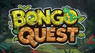 Bongo Quest