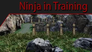 Ninja in Training