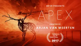 Apex