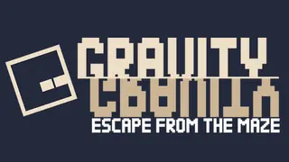 Gravity Escape From The Maze