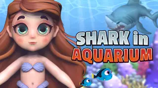 Shark In Aquarium