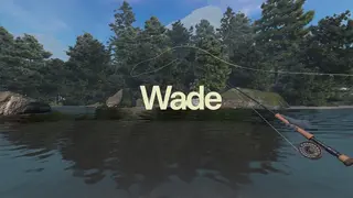 Wade