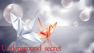 Underground secret