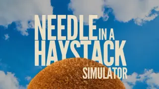 Needle In A Haystack Simulator