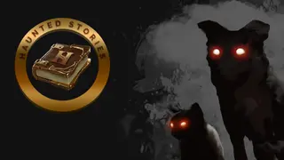 Haunted Stories
