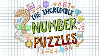 The Incredible Number Puzzles