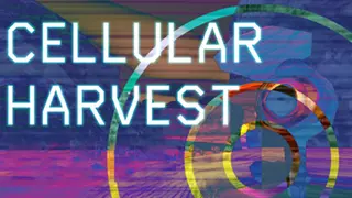 Cellular Harvest