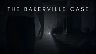 The Bakerville Case