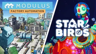 Star Birds x Modulus