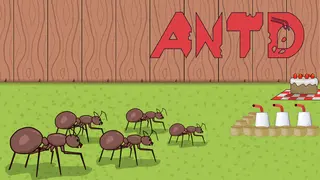 ANTD