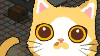 A Street Cat's Tale