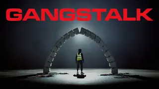 GANGSTALK
