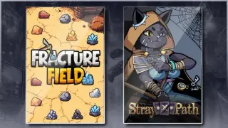 Fracture Field & Stray Path