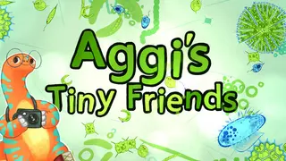 Aggi's Tiny Friends
