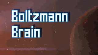Boltzmann Brain