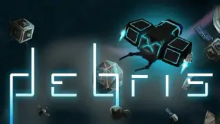 debris