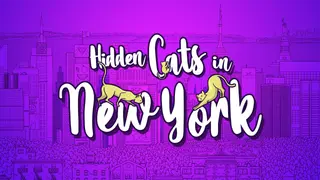 Hidden Cats in New York