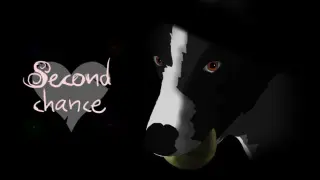 Second Chance