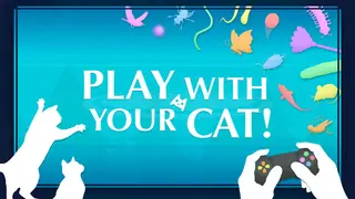 Play With Your Cat!