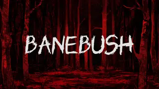 Banebush