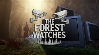 The Forest Watches