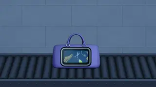 Xray Customs - Xbox One