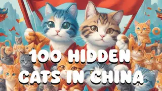 100 Hidden Cats in China?