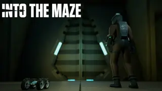 Into The Maze