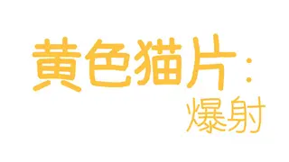 硬汉猫猫:手法大师