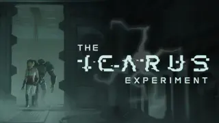 The Icarus Experiment