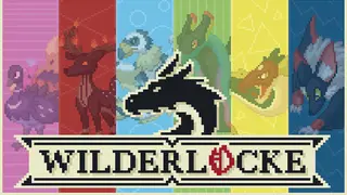 WILDERLOCKE