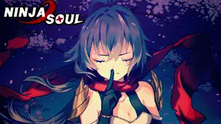 Ninja Soul