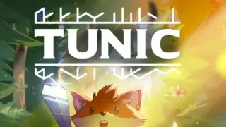 TUNIC - Switch