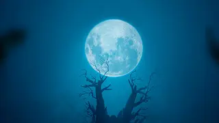 THE ORIGIN: Blind Maid - Xbox One & Series